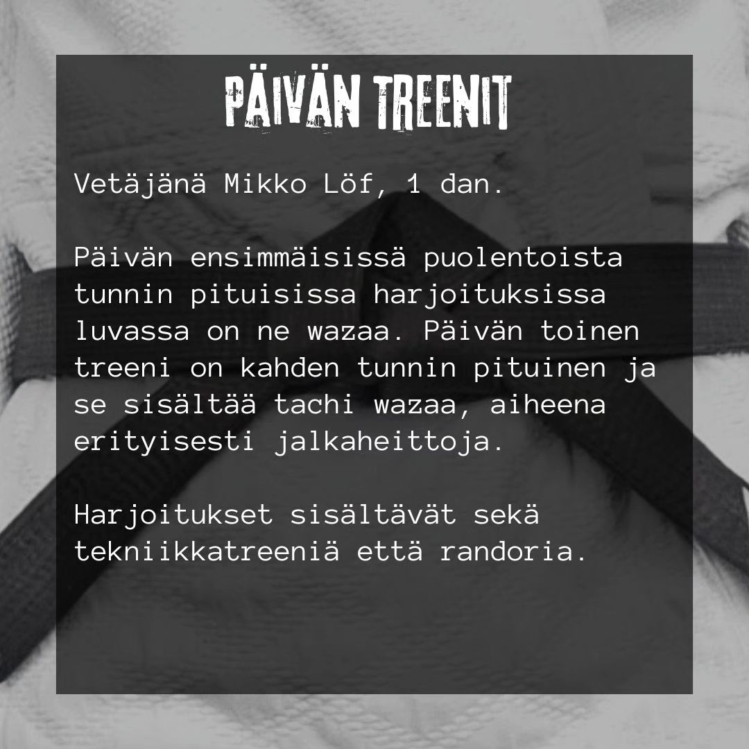 paivan_treenit